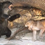 Медвежья пещера